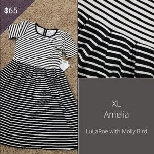 LLR Amelia XL